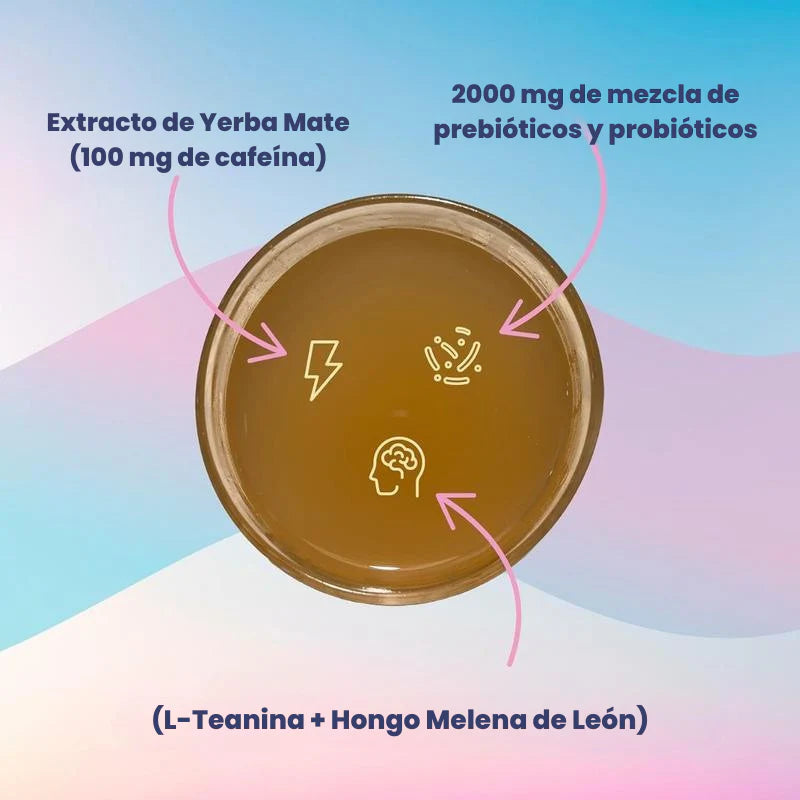 NutraBoricua - Polvo de Té Instantáneo de Yerba Mate – 30 Porciones